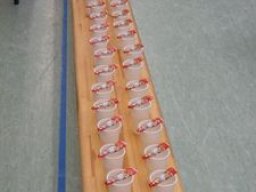 Schleifchenturnier 2009