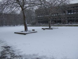 Schleifchenturnier 2012