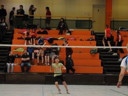 Bilder des Jahres 2013