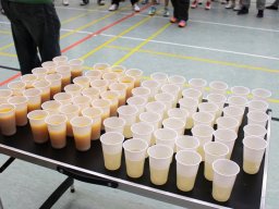 Schleifchenturnier 2016